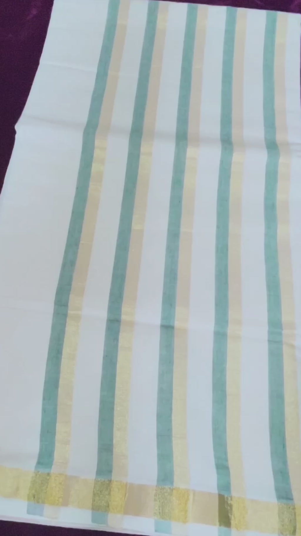 Half  Pallu StripeSaree G